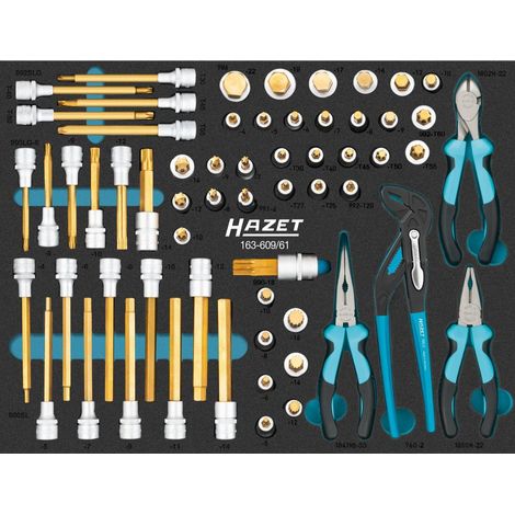 HAZET 163-609/61 JEU DE 61 DOUILLES POUR TOURNEVIS AVEC 4 PINCES, SIX PANS INTÉRIEURS, MULTIDENTS XZN, TORX INTÉRIEUR
