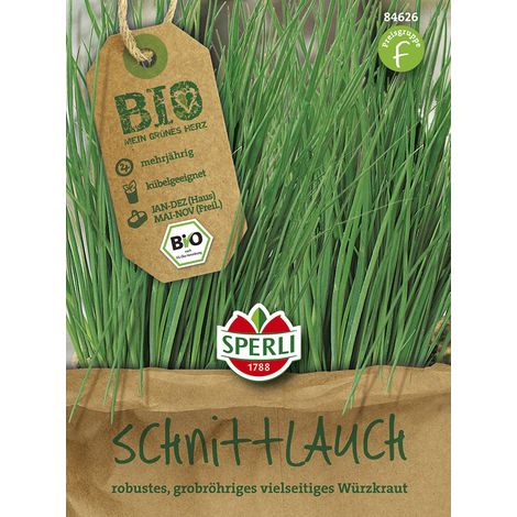 Sperli Schnittknoblauch Samen - 1 Portion (1/2)
