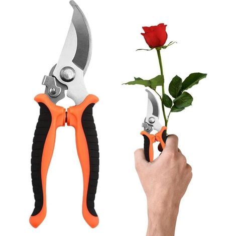 Sécateur à main en acier trempé Coupe jusqu'à 20 mm Poignée ergonomique antidérapante Pour bois dur et vignes (1/5)
