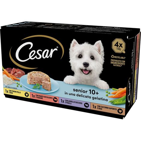 Cesar Senior da 10 in Su, Cibo Per Cane Anziano, Selezione Assortita, Vaschette 3600 G, 24 Unità, Confezione da 1 (1/5)