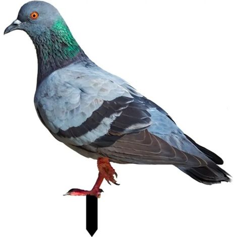 Taubenstatue zur Dekoration des Gartens – Tierfigur für Rasen- und Blumenbeetgestaltung, wetterfest, detailreich & dekorativ