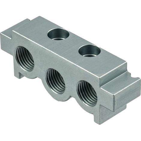 Riegler Eingangsplatte mit Dichtungen, G 1/4, Grundplattensystem