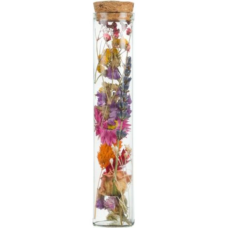 Lot de 6 Bouteilles de Fleurs Séchées bouteille décorative Medium Multicolore Hauteur 15 cm Déco - PANGIVO