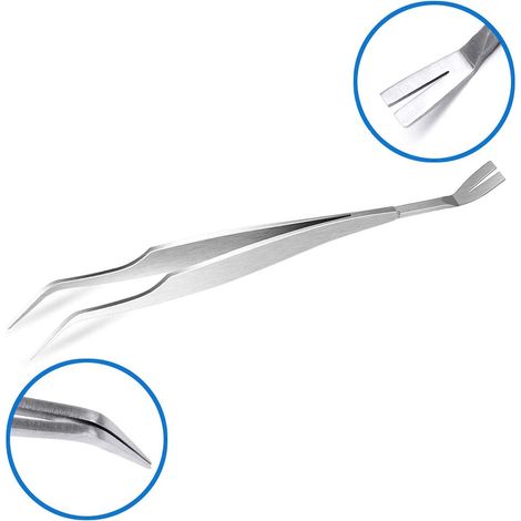 6 Piece Animal Tick Tweezers Set, Black (1/5)