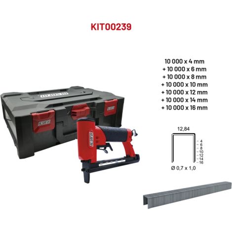 Box 12/16P2 + 70000 agrafes