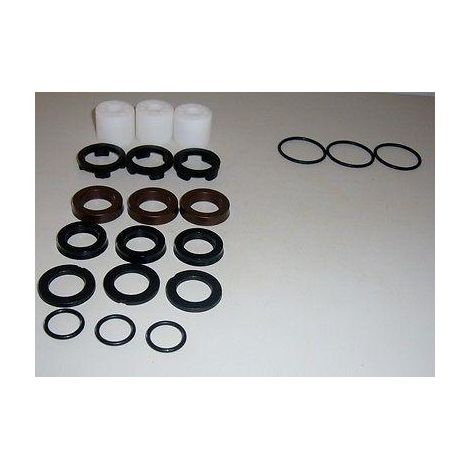 KIT ANELLI GUARNIZIONI TENUTE ACQUA IDROPULITRICI POMPE LAVORWASH 6.005.0118