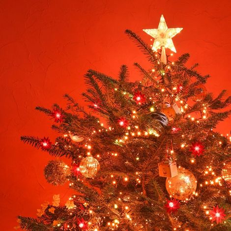 Guirlande lumineuse de Noël 192 LED cuivre 16 m intérieur extérieur (1/4)