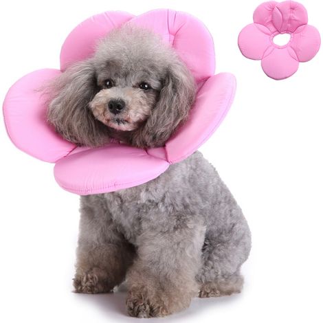 1 Collier de convalescence, fermeture ajustable, collier de protection, fleur rose, pour chien et chat (1/5)