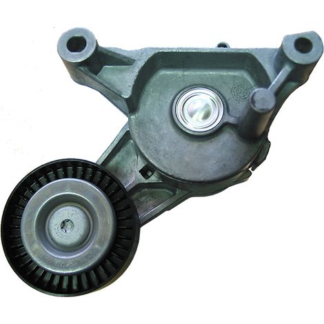 3RG 13746 RODILLO TENSOR