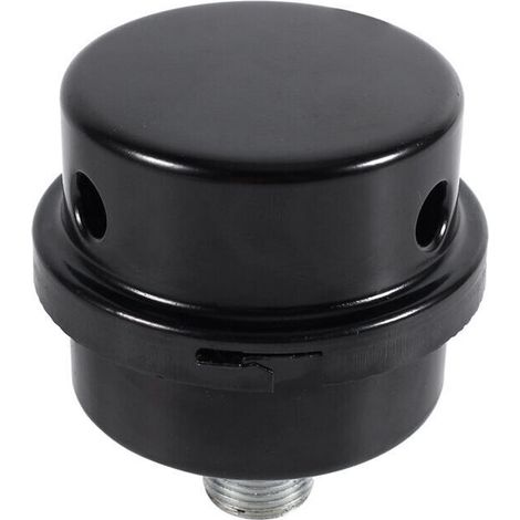 Filtro silencioso para compresor de aire de hierro fundido, rosca de 3/8" (16 mm) (1/5)