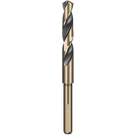 HSS-Schnellstahlbohrer für Metall, Edelstahl, Eisen, Kunststoff und Holzbearbeitung, präzises Bohren in verschiedenen Materialien (1/5)