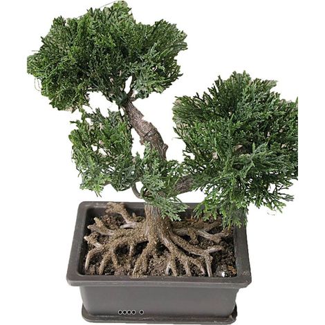 Mini bonsai artificiel en pot H 18,5 cm (1/3)