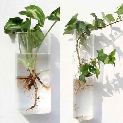 Vase à fleurs en verre suspendu au mur,Terrarium mural pour Aquarium,Pots de jardinière,décoration de jardin de maison-10 (1/4)
