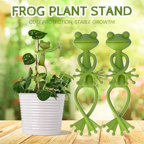Support de tige pour plantes grimpantes – Aide à la croissance et redressement (1/5)