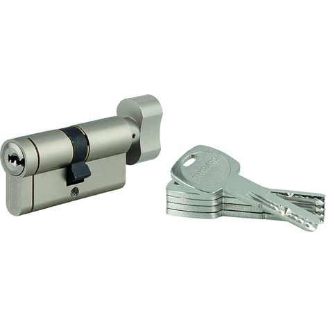 THIRARD - Cylindre double entrée Transit 1 UNIKEY (achetez-en plusieurs, ouvrez avec la même clé), 30Bx30mm, 5 clés, nickelé - THIRARD