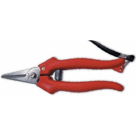 Forbici cogliuva per vendemmia Ausonia art. 31321 150 mm  Lama Acciaio Inox (1/2)