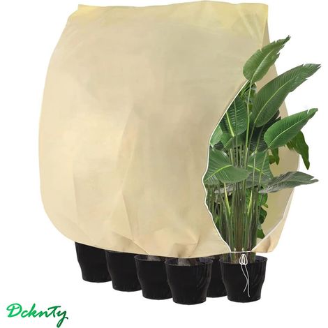 200x240cm Voile Hivernage Plante Exterieur Housse Protection Plante Hiver (1/5)