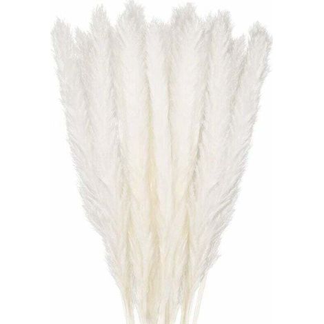 30 pcs Herbe de la Pampa, 58 cm Naturel Pampa Fleur Bouquet de Fleurs Sechees pour Vases, Blanc Boho Decoration Chambre Maison Salon, Mariage Photographier Table Décoration (1/5)