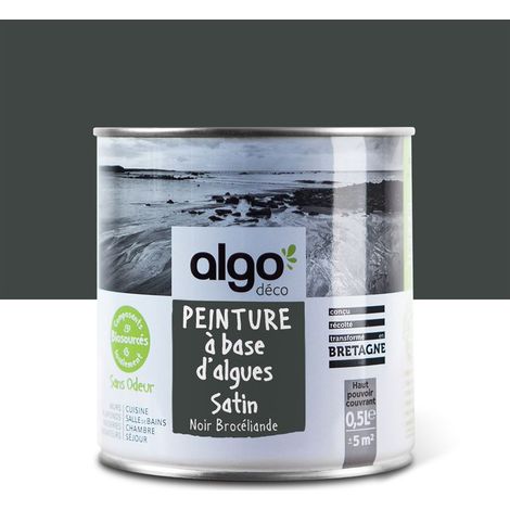 Peinture écologique Algo - Satin - Noir Brocéliande - 0.5L (1/5)