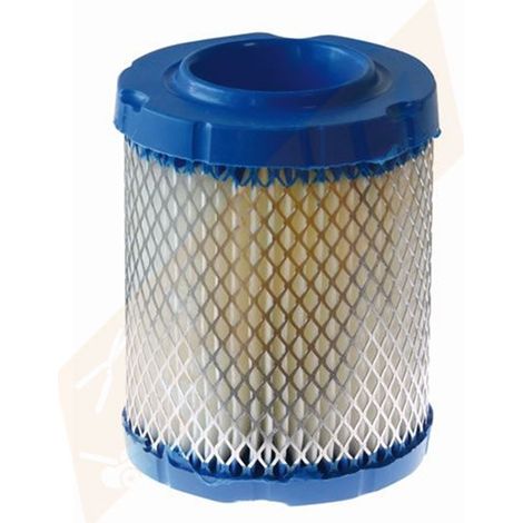 Filtre à air Moteur BRIGGS & STRATTON 796032 - 591583 (1/2)