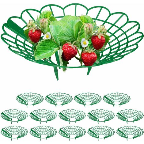 Soporte de fresa en conjunto