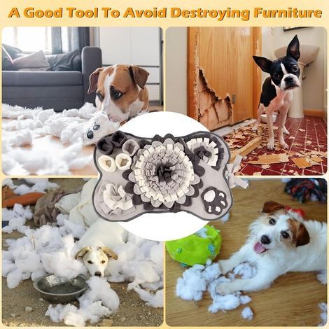 Tapis de Fouille Chien, Couverture Pliable, Tapis de Recherche pour Chien, Tapis éducateurs pour Chiens (1/4)