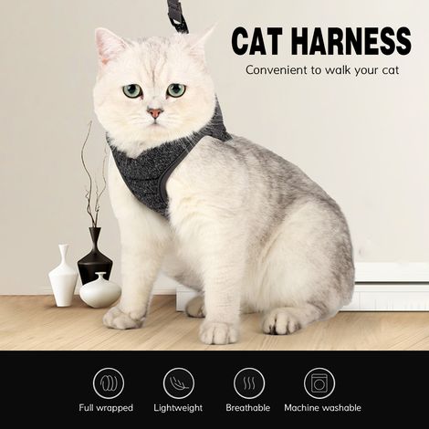 Harnais pour chat, laisse anti-évasion, léger, respirant, réglable, doux, gilet pour animaux de compagnie (1/5)