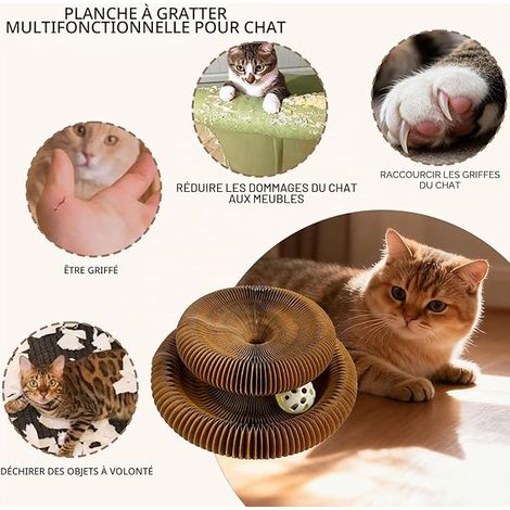 Cat Scratching Post Magic Organ, Foldable Cat Scratching Board with Ball Bell, Interactive Toy for Cat Kitty Interior Cat Toys Accessory (1/4)