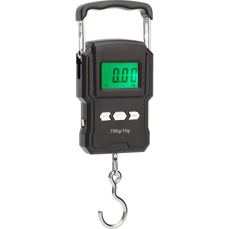 Balance électronique portable, échelle de poisson numérique rétroéclairée à écran LCD de 165 lb/75 kg, balance suspendue à crochet avec règle à ruban à mesurer, sac de transport et piles 2AAA