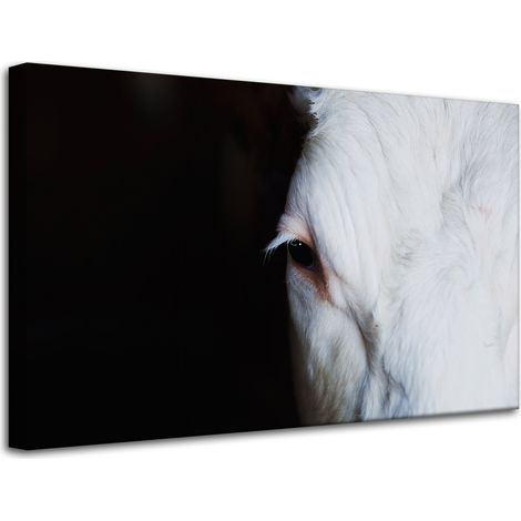 Leinwanddruck „Tiere: Auge einer Kuh“, 80 x 50 cm