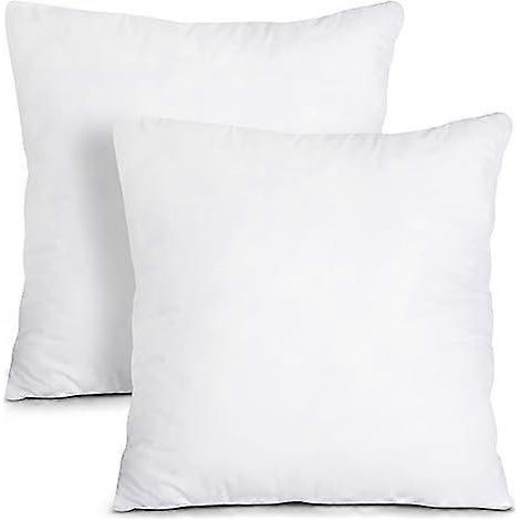 Oreiller de literie (lot de 2, blanc) - 45 x 45 cm - Oreiller pour lit et canapé - Oreiller de rembourrage (1/5)