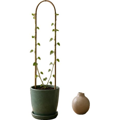 Support en bambou, 90 cm x 15 cm, léger et durable, compatible avec les plantes grimpantes, écologique, biodégradable (1/5)