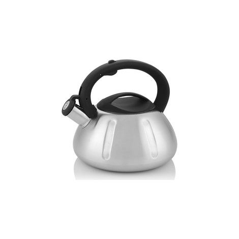 George Line Florina Wasserkocher 2,6l - Edelstahl, Pfeife
