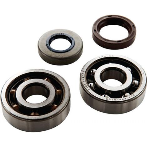 lager oder dichtung spi motor top performance für motorrad sherco