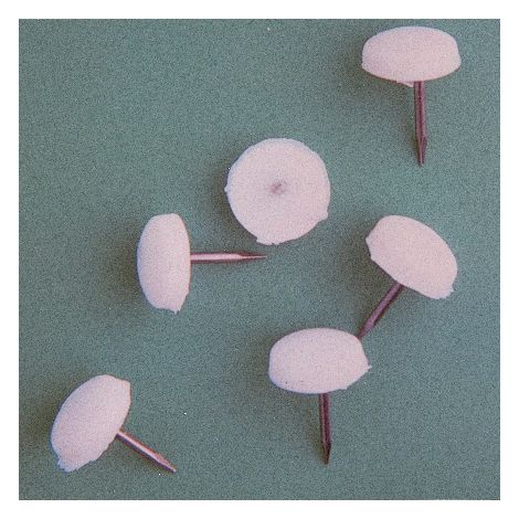 SC PARACOLPO PLASTICA BIANCO 20 PZ- 1,0 pz