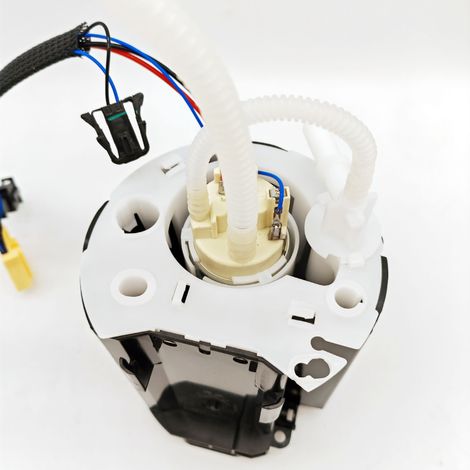 Pompe à Carburant Essence LR043385, LR014997 - Compatible avec Land Rover (1/4)
