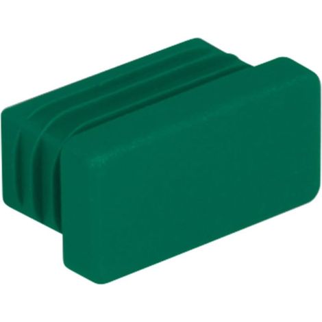 Tapón final de riel Walraven wm1 polietileno 30x15 mm