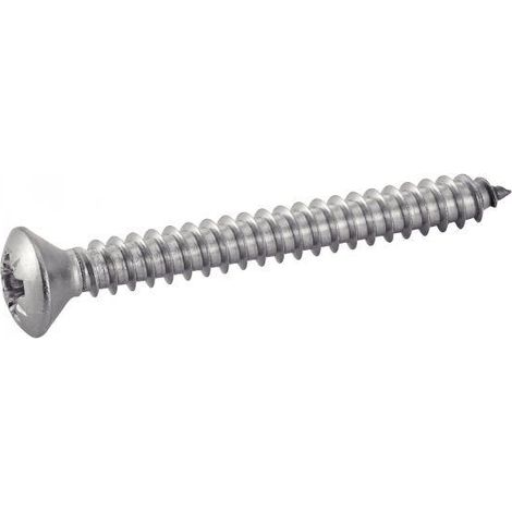 Acton DIN 7983 Vite Inox 4,2x19 mm Scatola 200 pz