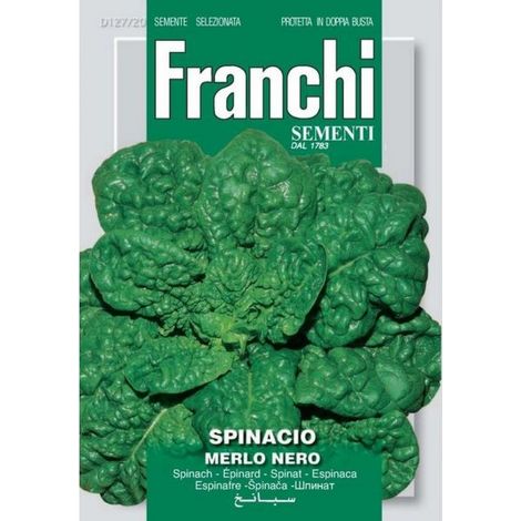 SEMI SPINACIO MERLO NERO FRANCHI SEMENTI