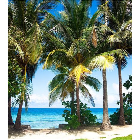 Palm beach, photo murale, 180x202 cm, 2 parts (1/2)