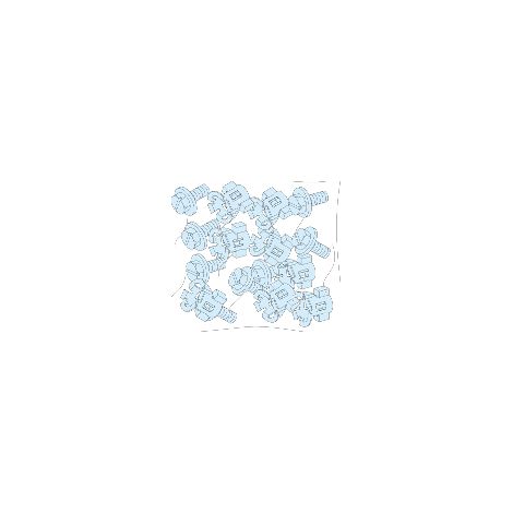 20 viti+Dadi/Struttura - LVS08921
