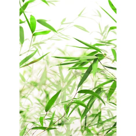 Komar Tableau Mural avec Feuilles de Bambou - Poster Mural - Décoration pour Salon, Chambre à Coucher - sans Cadre - P060-30 x 40 cm - Dimensions : 30 x 40 cm (l x H) (1/3)
