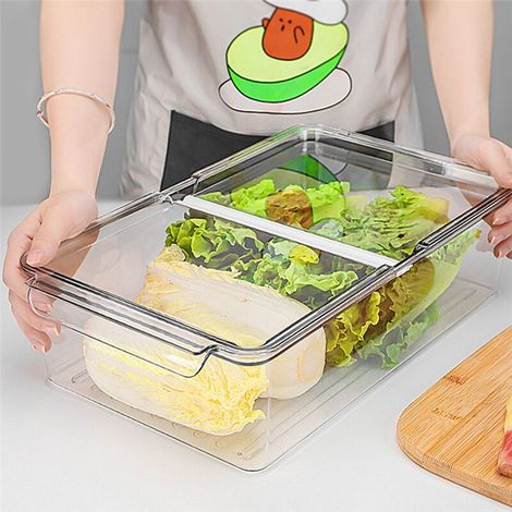 Boîte de rangement transparente pour fruits, œufs, aliments pour animaux, adaptée au réfrigérateur, pour une organisation optimale de la maison, dans la cuisine et sur le plan de travail.-AquaForge (1/5)