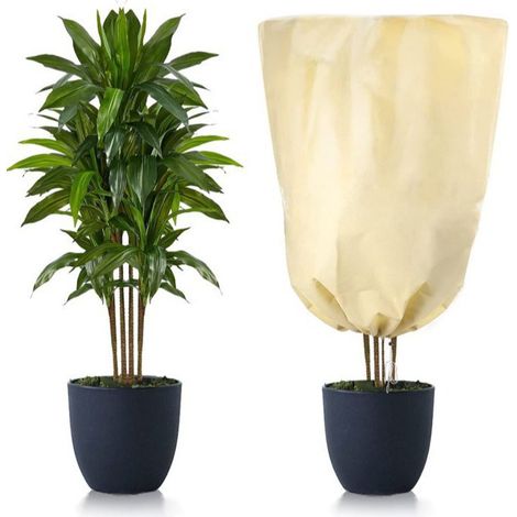Protection hivernale des plantes, housse froide antigel avec cordon de serrage, 120180cm, blanc cassé (1/5)