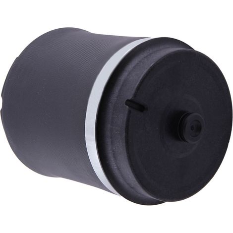 Suspension Pneumatique Arrière RKB500082 Gauche/Droite pour Range Rover L322 (1/5)