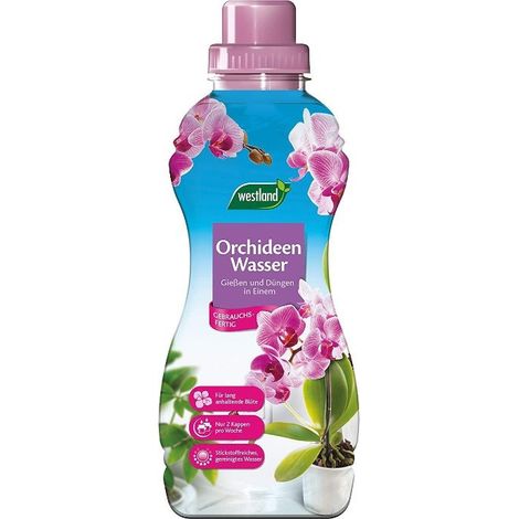 Westland Orchideen Wasser