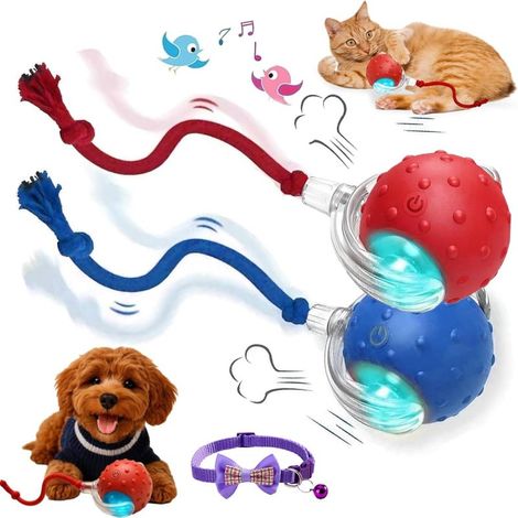 Tiny Fetch Motion Dog Toy 2.0, balle interactive à mouvement rapide avec chant d'oiseau, roulement automatique 360° (Mix2) (1/5)