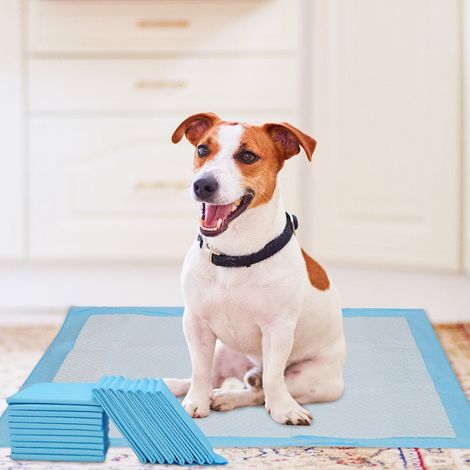 Randaco 40X Tapis pour chiots extrêmement absorbant Tapis de dressage Coussin pour chiens 60x60CM (1/5)