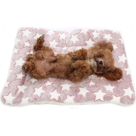 Tapis de lit lavable pour chien et chat - Imprimé mignons - Couverture épaisse et douce - 60 x 80 cm