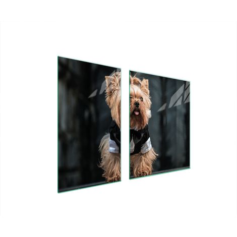 PLATO DE VIDRIO Y TABLA DE CORTAR 100x52 PERRO (1/5)